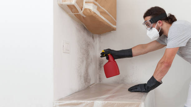 Professional Bathroom Mold Removal technician working in Chapel Hill, NC