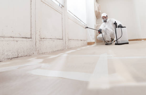 24/7 Emergency Bathroom Mold Removal experts in Chapel Hill, NC